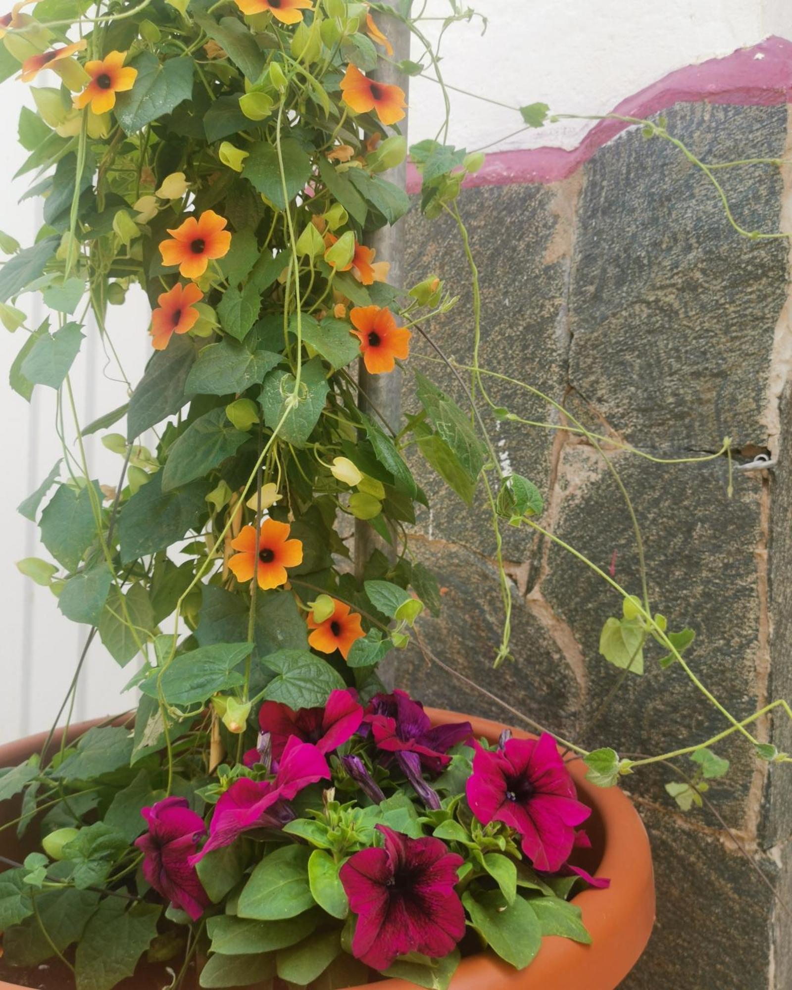 Sardina Eden Guesthouse מראה חיצוני תמונה